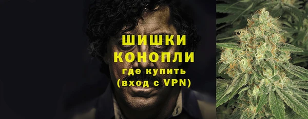 крисы Арсеньев