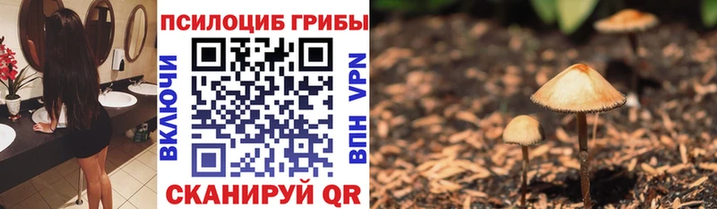 Галлюциногенные грибы Cubensis  Холмск 